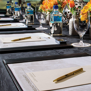 conferencing2